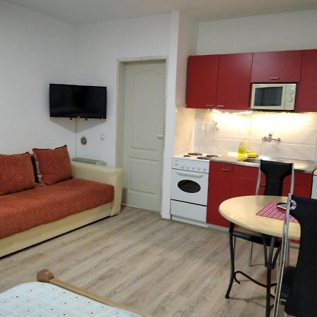 Apartman 4 - Studio Janja Soko Banja Εξωτερικό φωτογραφία