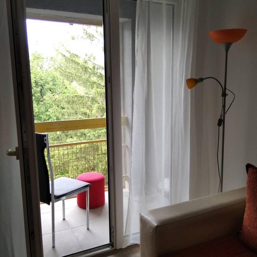 Apartman 4 - Studio Janja Soko Banja Εξωτερικό φωτογραφία