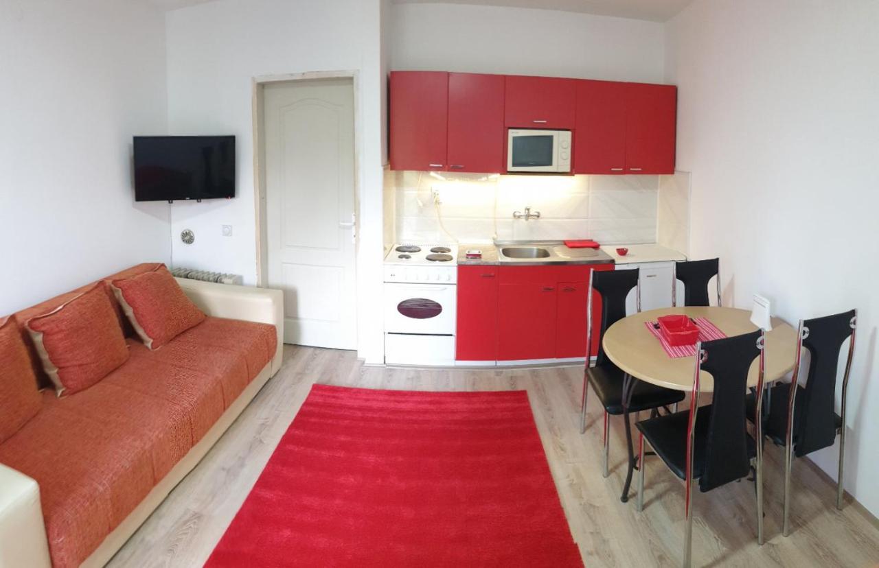 Apartman 4 - Studio Janja Soko Banja Εξωτερικό φωτογραφία